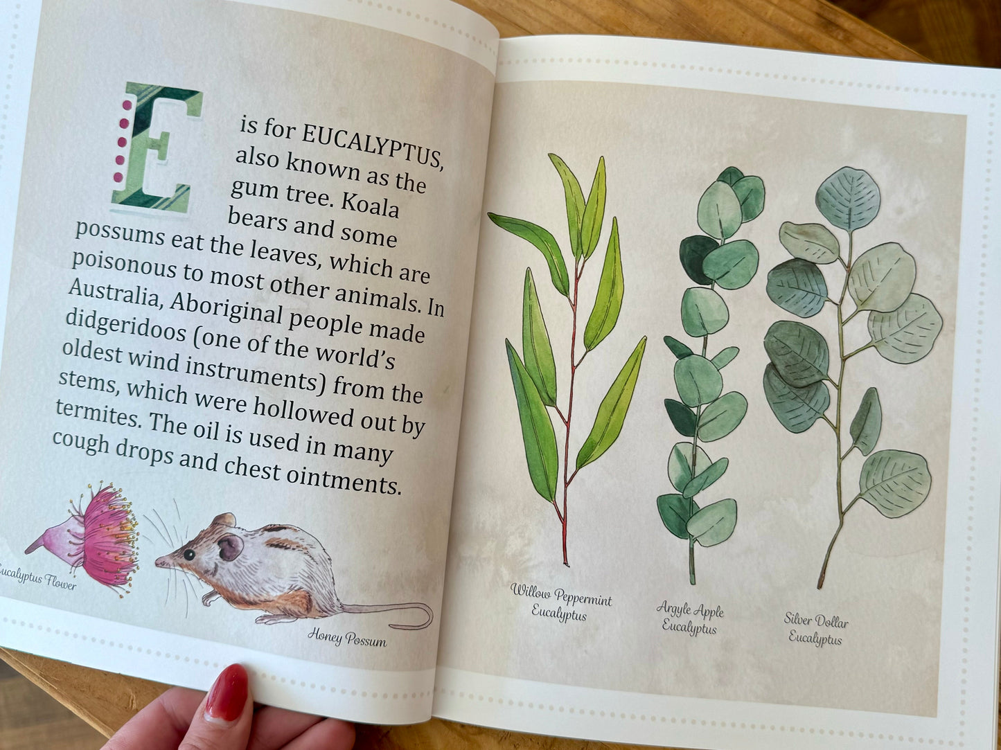 "Herbs A to Z"