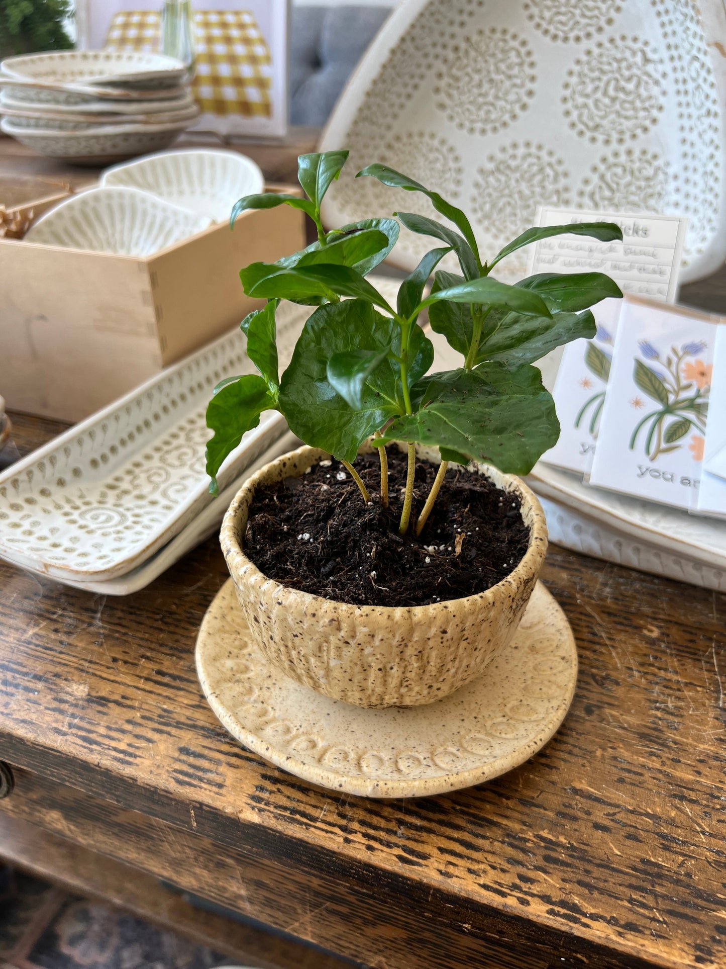 Nature Planter - Yellow