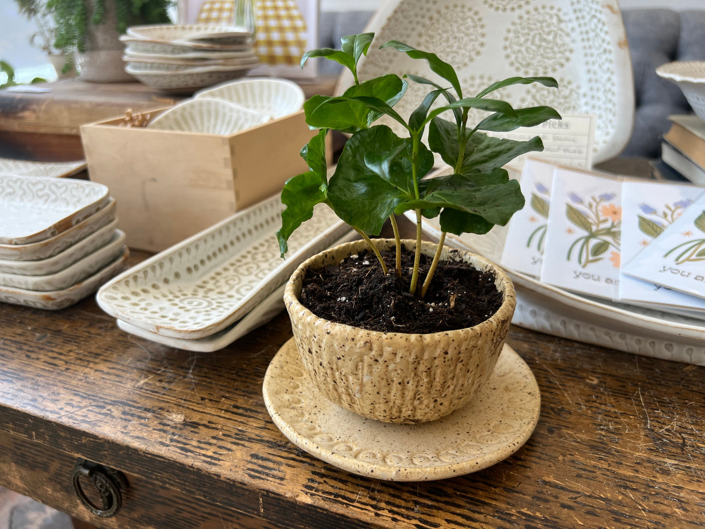 Nature Planter - Yellow