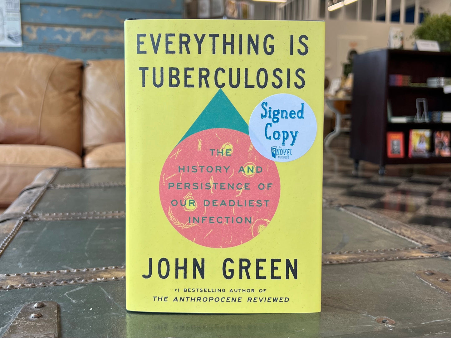 Everything is Tuberculosis by John Green