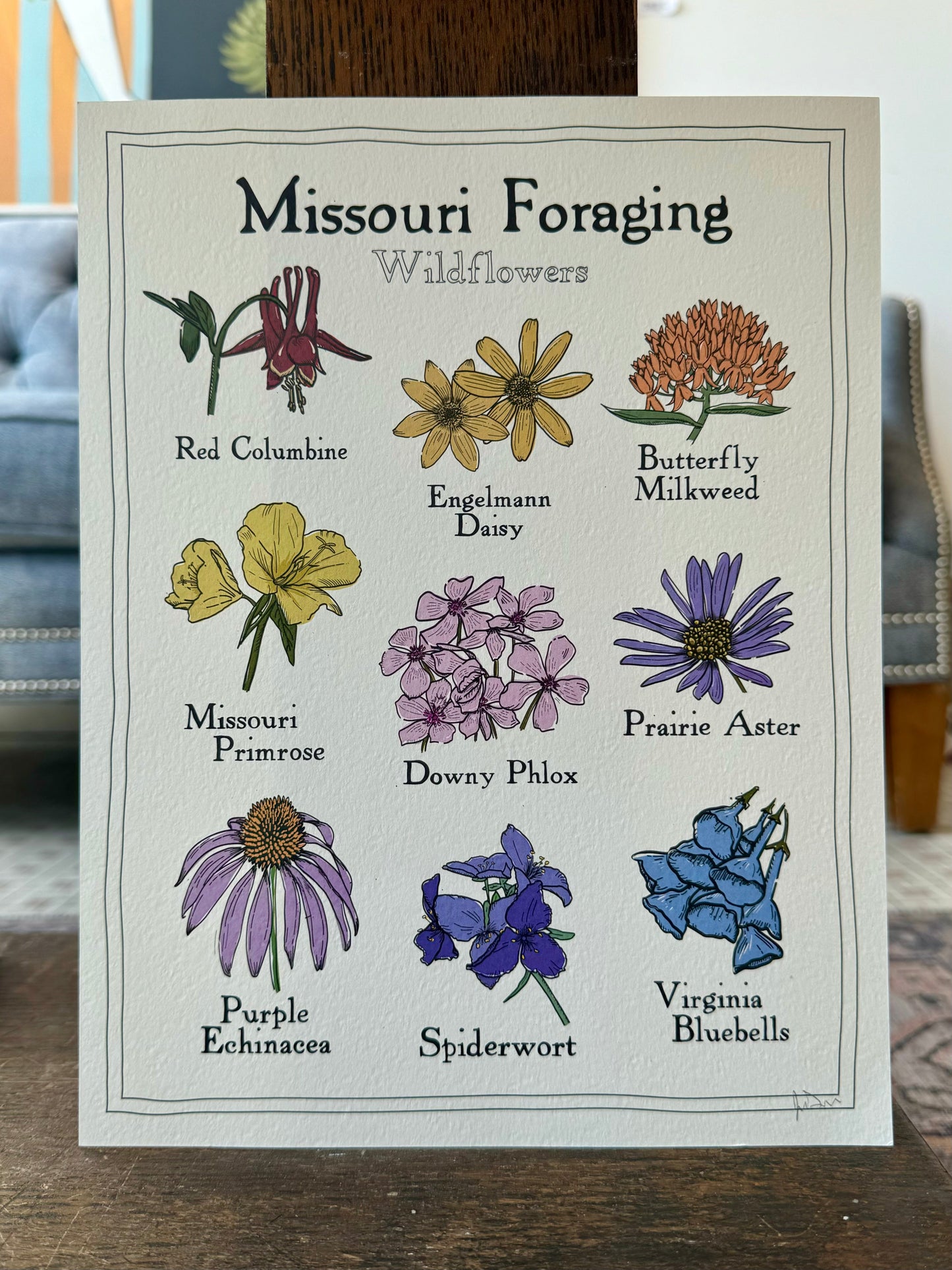 "Missouri Foraging: Wildflowers" - Print