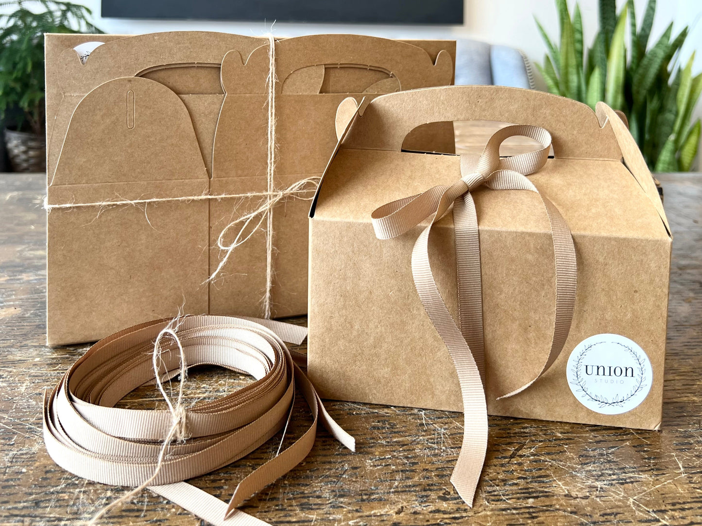 Mini Gable Box and Ribbon- Set of 12