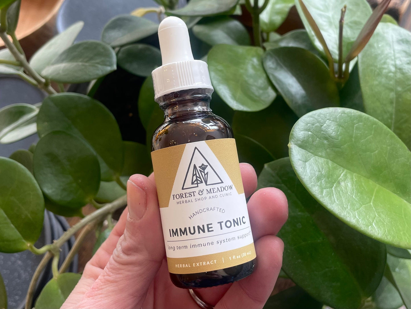 Immune Tonic Tincture