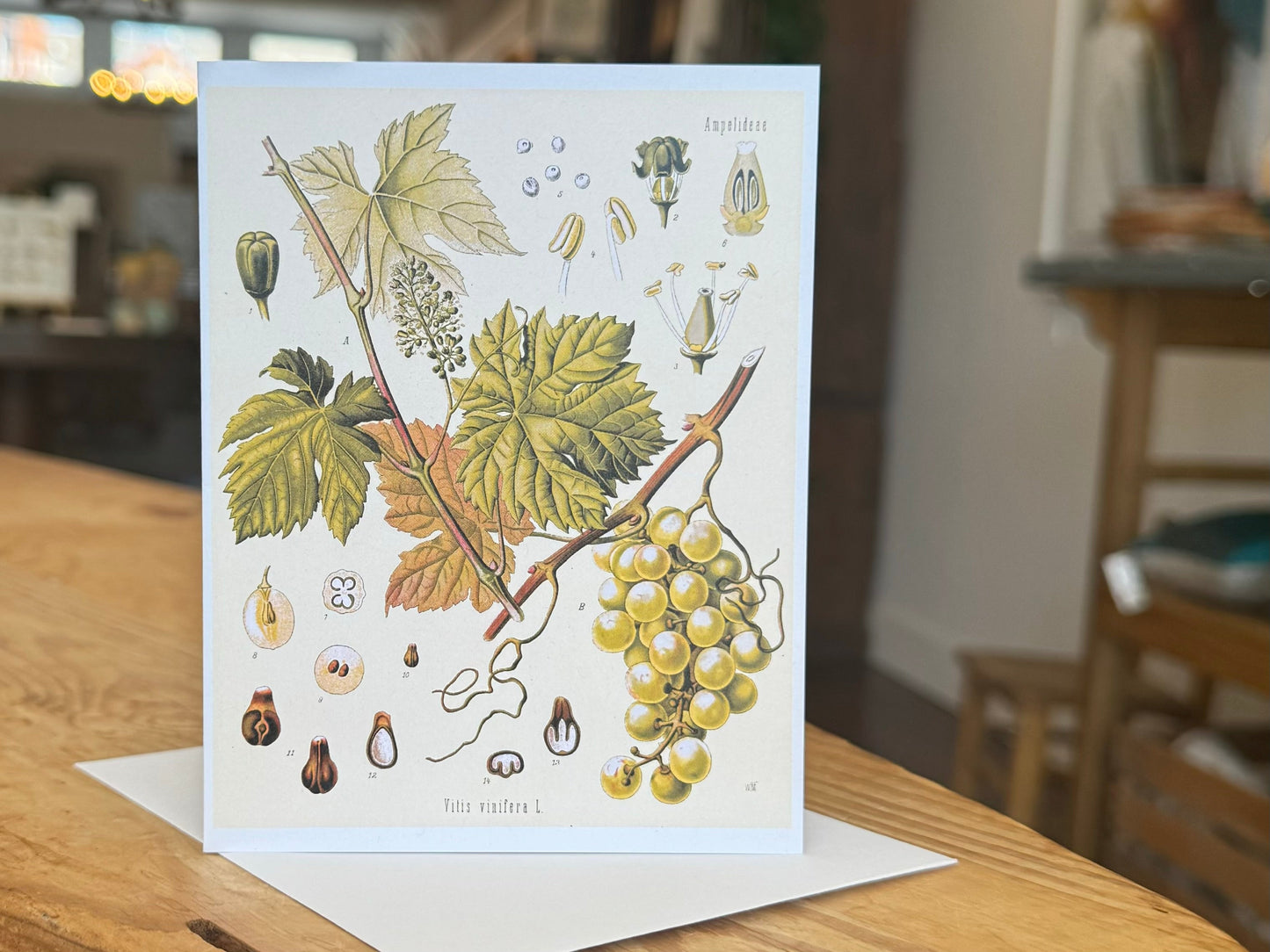 White Wine Grape Greeting Card