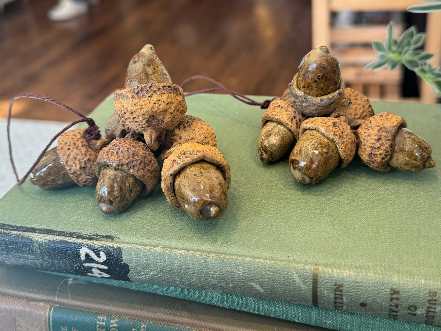 Acorn Clusters