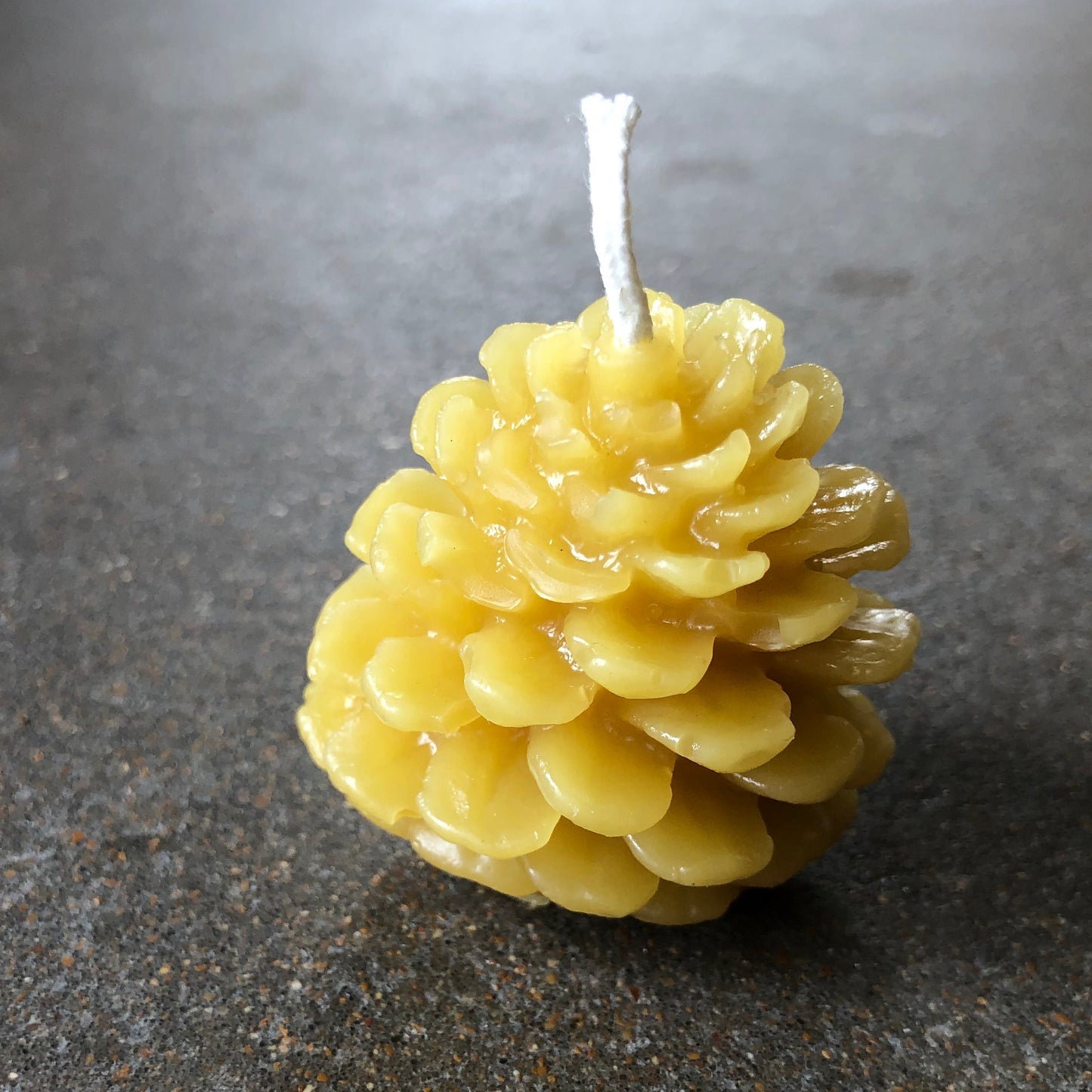 Pinecone Candle