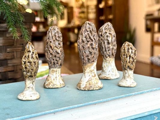 Ceramic Morel