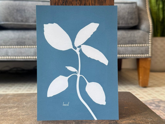 "Basil Cyanotype" - Print