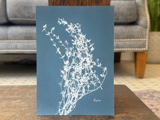 "Thyme Cyanotype" - Print