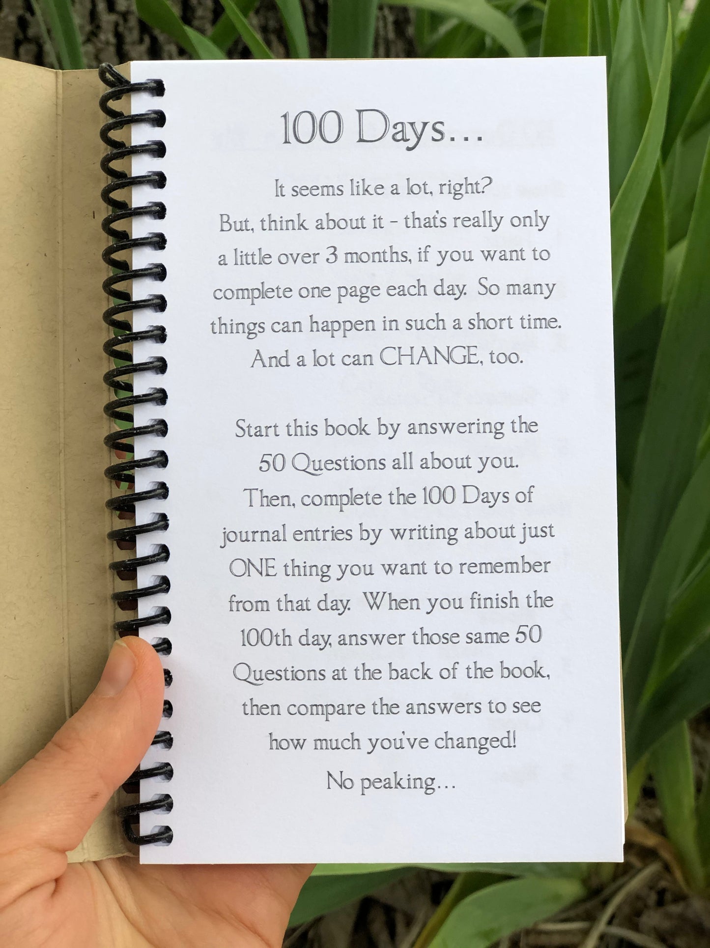 100 Days Journal