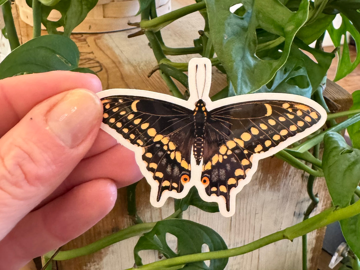 Swallowtail Butterfly Sticker