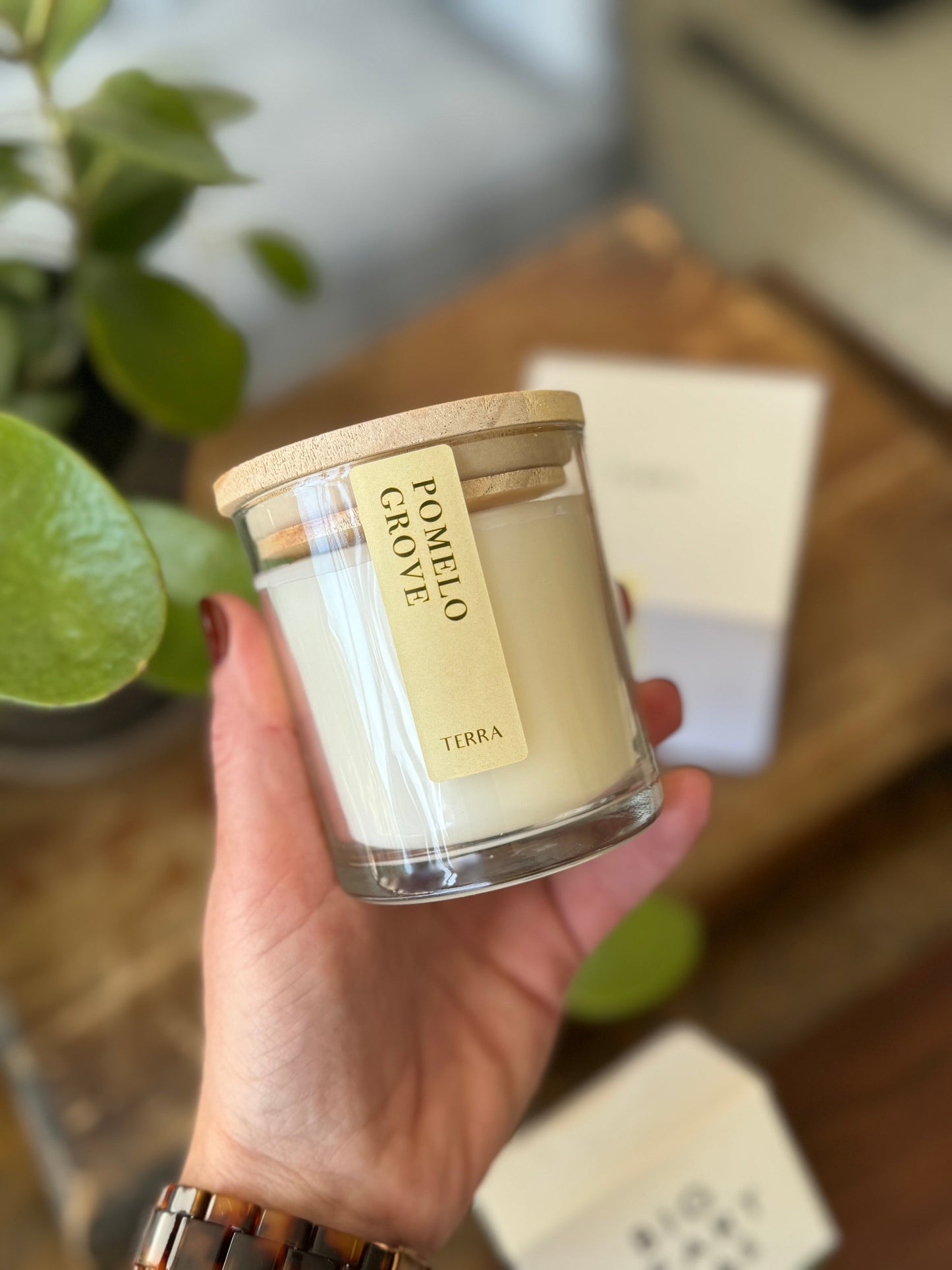 Pomelo Grove Candle