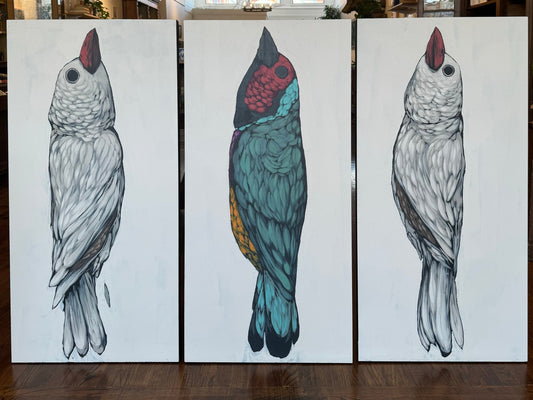 "The Gouldian Finches 36985" - Original work