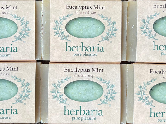 Eucalyptus Mint Cuties - Set of 6