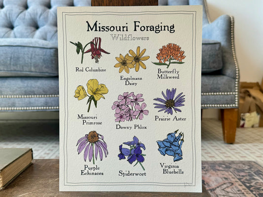 "Missouri Foraging: Wildflowers" - Print