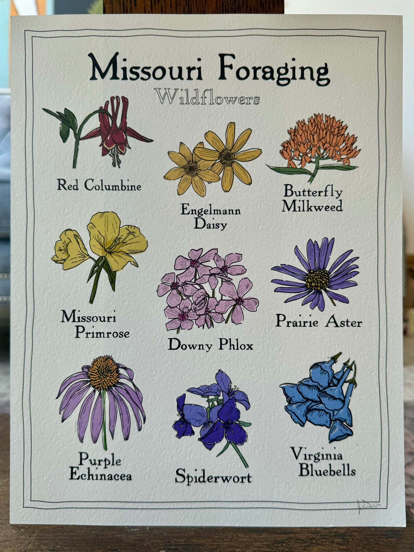 "Missouri Foraging: Wildflowers" - Print