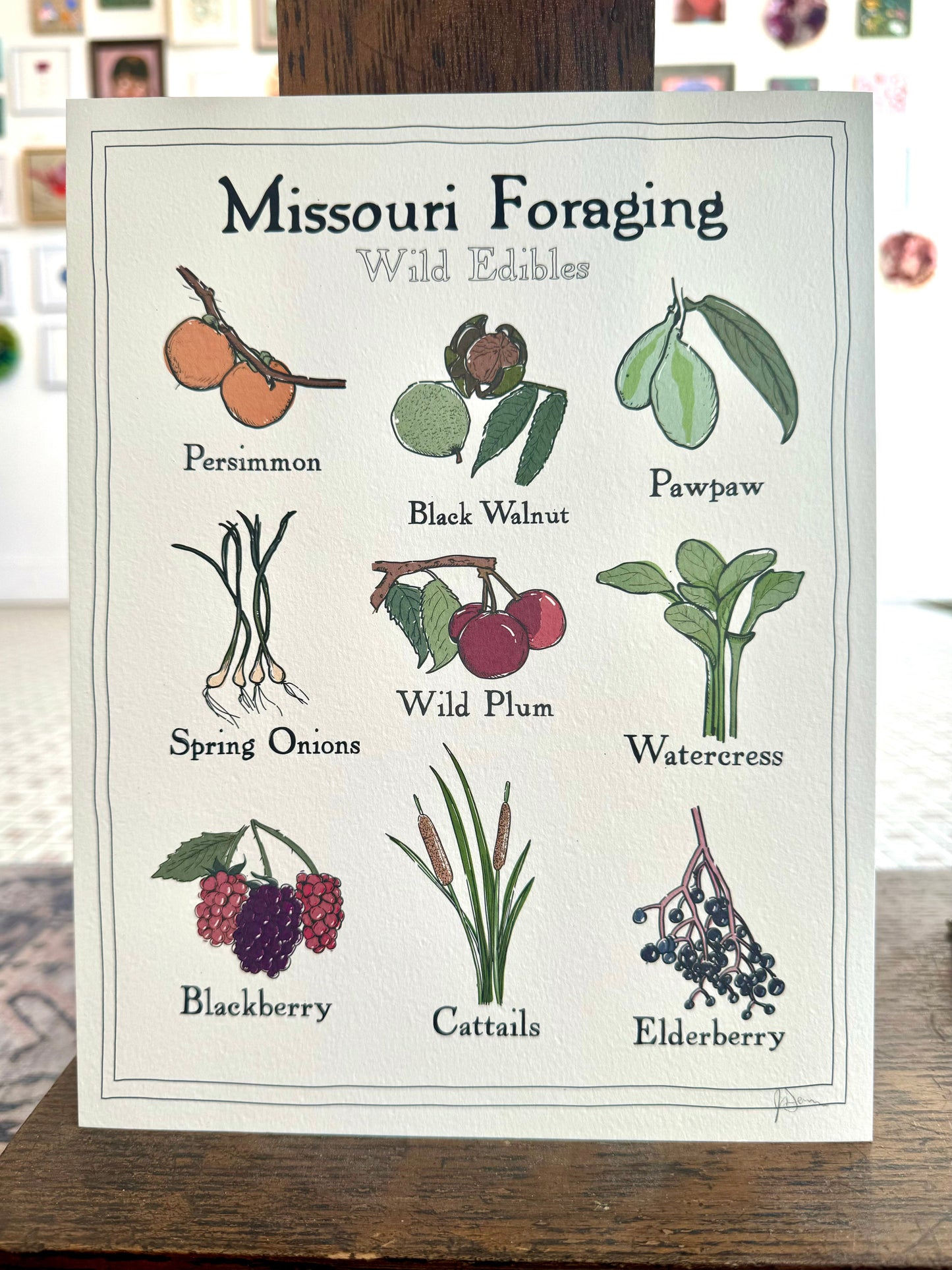 "Missouri Foraging: Wild Edibles" - Print