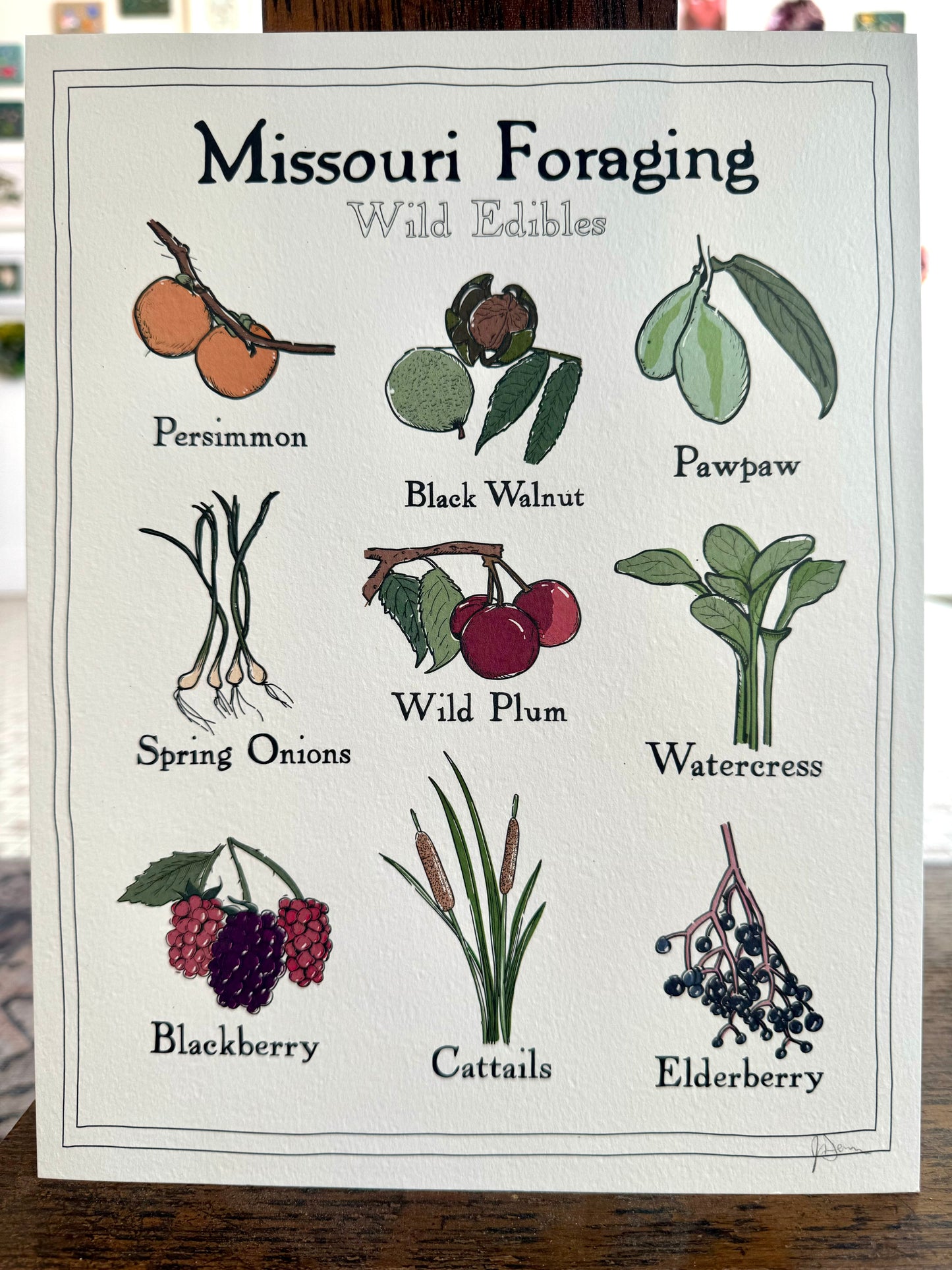 "Missouri Foraging: Wild Edibles" - Print