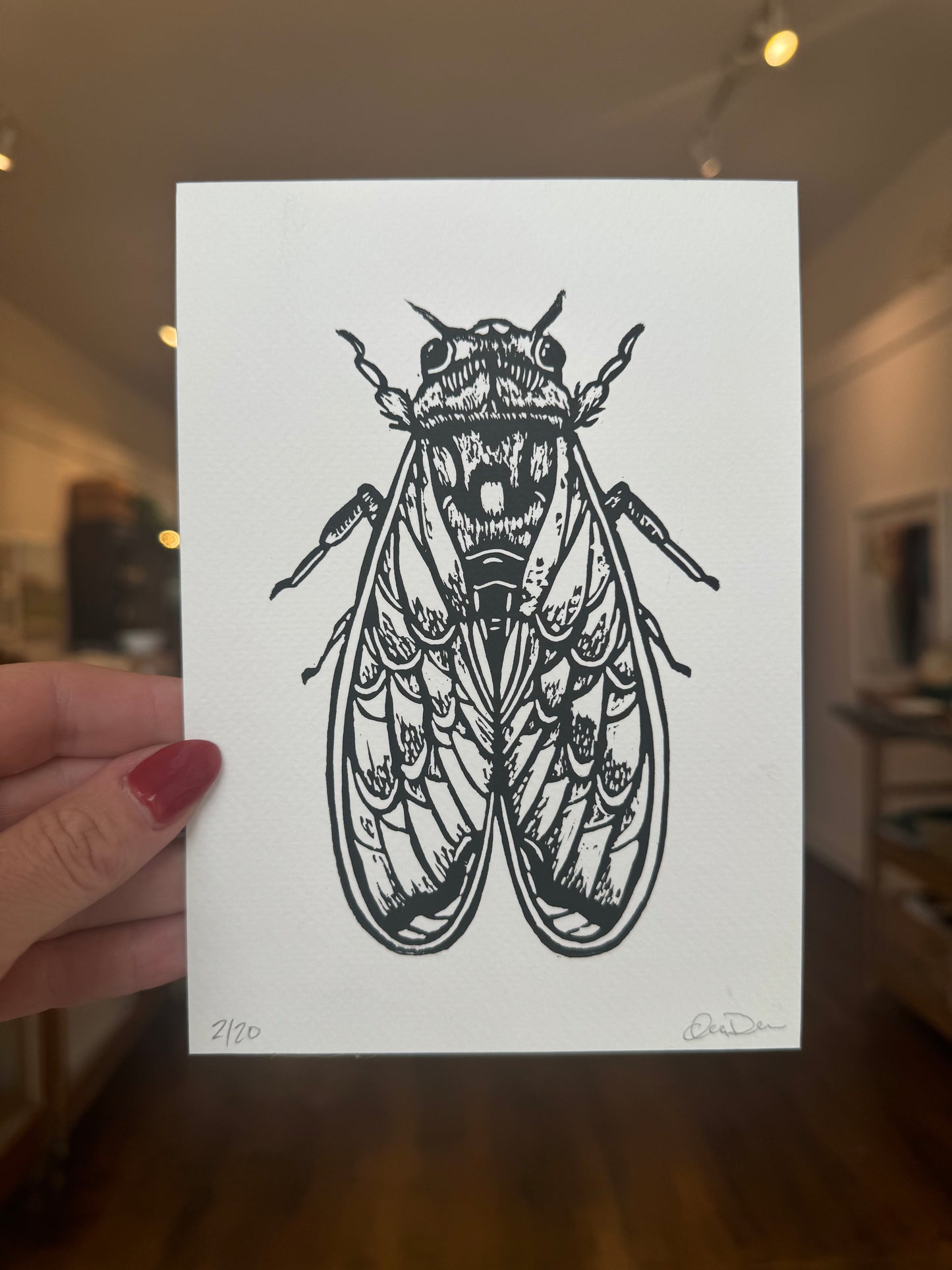 "Cicada" - Print