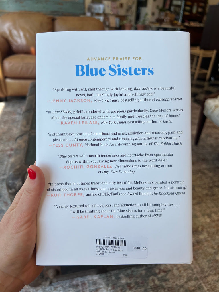 Blue Sisters by Coco Mellors