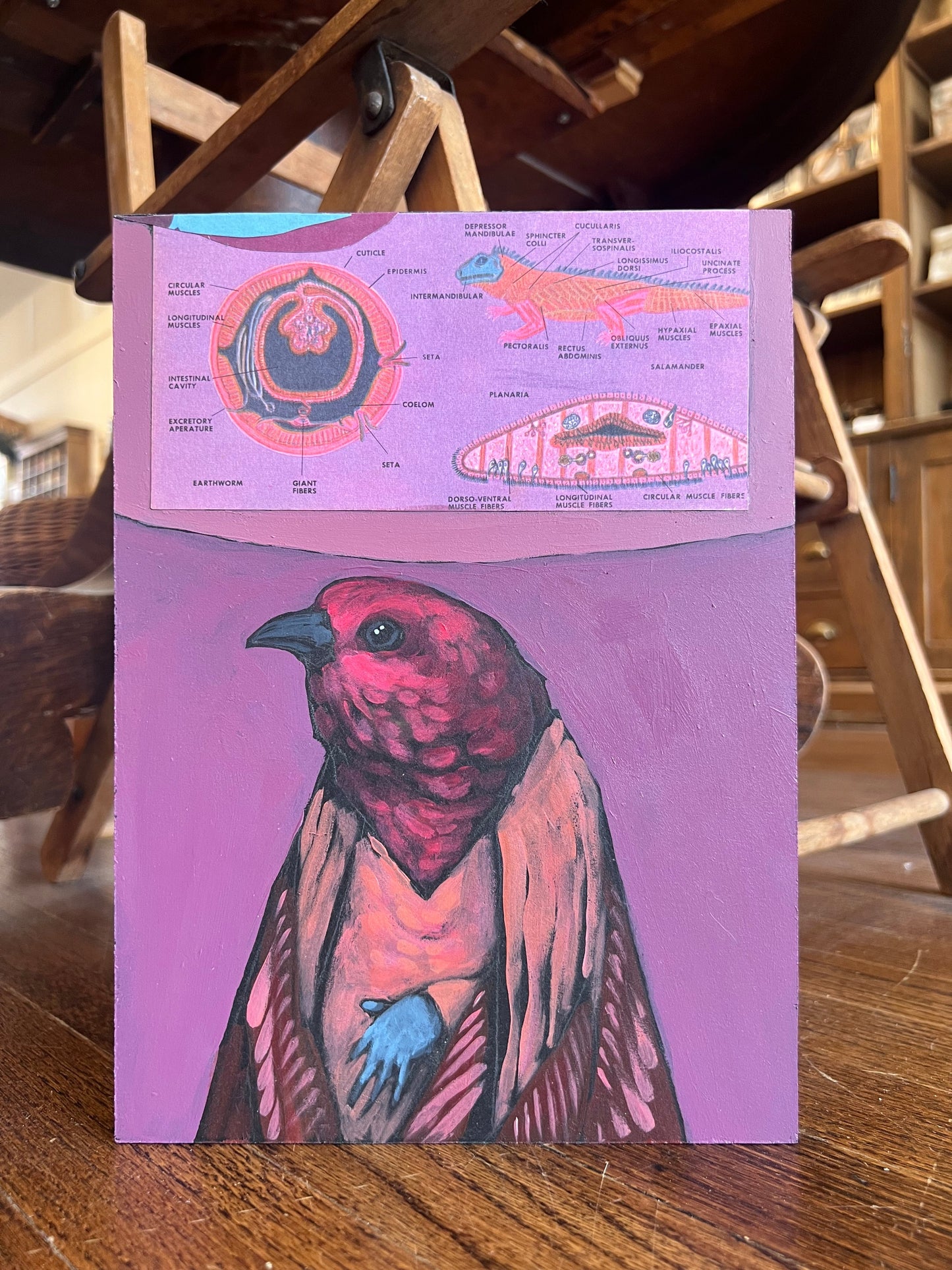 "Cahokia Dorsi" - Original Work