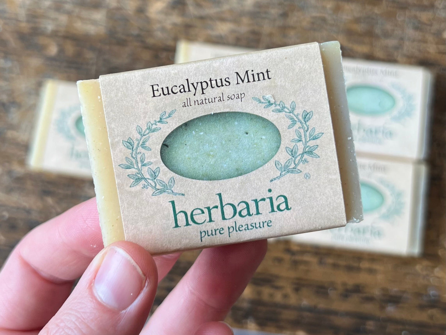 Eucalyptus Mint Cuties - Set of 6