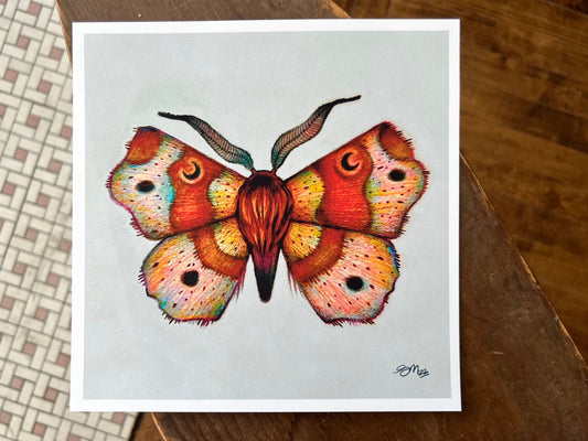 "Walnut Moon Moth" - Print